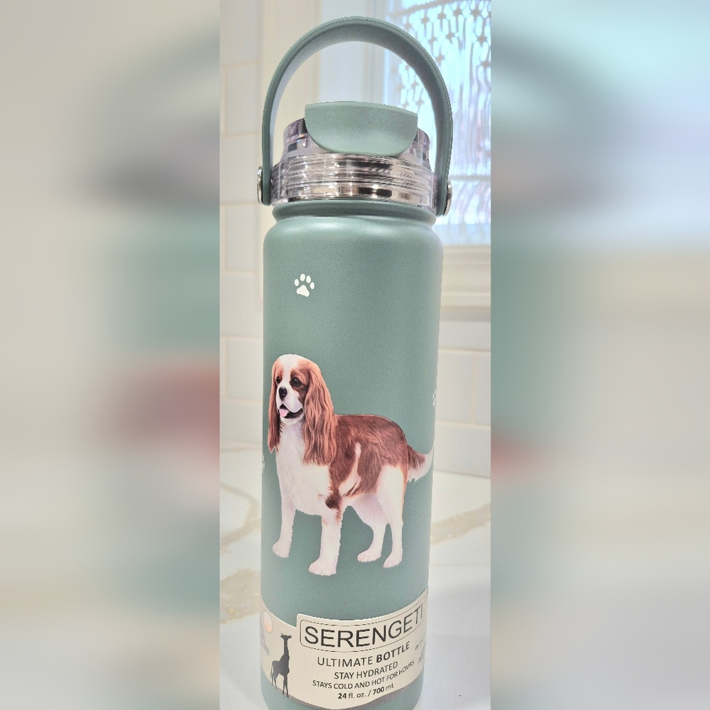 King Charles Cavaler. Serengeti Medium Green  Water Bottle